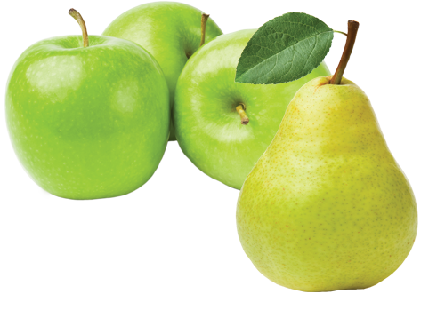apples&pear-green